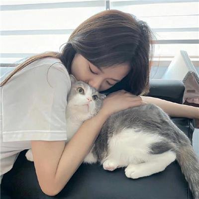 金装律师第二季