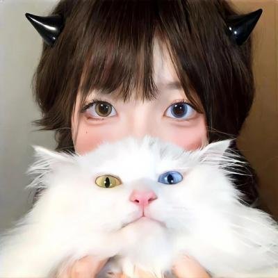 京都风云